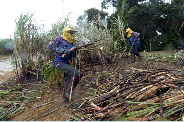 Pernambuco reduz vagas formais de trabalho em abril, aponta Caged