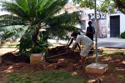 Praça Agamenon Magalhães está sendo reformada em Serra Talhada