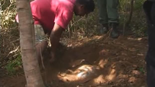 Vídeo: Mulher é morta a pauladas e enterrada em uma cova rasa no CE