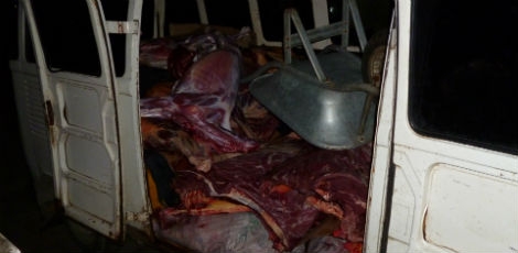 Polícia apreende mais de uma tonelada de carne de jumento em Limoeiro