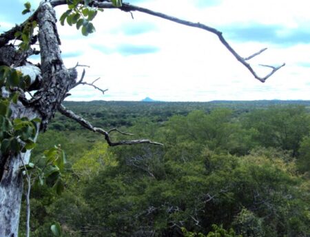 Estado deve ganhar seis áreas de proteção ambiental