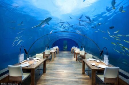 Restaurante construído 5 metros abaixo do oceano oferece vista deslumbrante