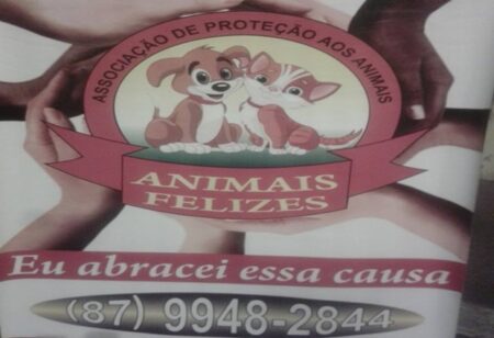 Falta de voluntários ameaça o trabalho da ONG Animal Feliz, em ST