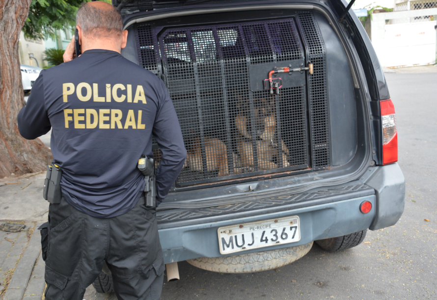 Polícia Federal deflagra em Caruaru e São Paulo a “Operação Cavalo Branco”