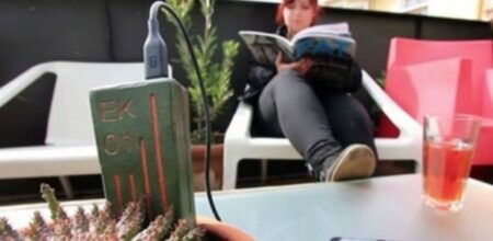 Chilenas desenvolvem dispositivo que usa planta para carregar celular