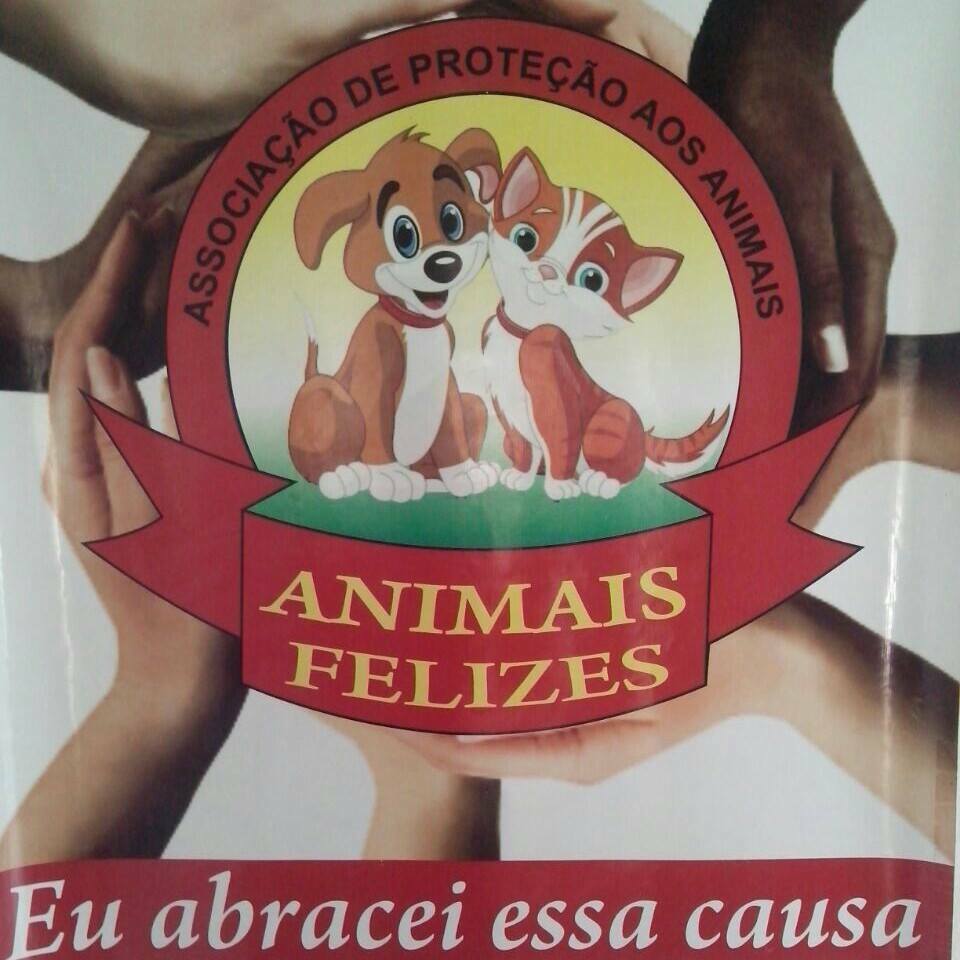 ONG Animal Feliz faz campanha para salvar cadelas em Serra Talhada