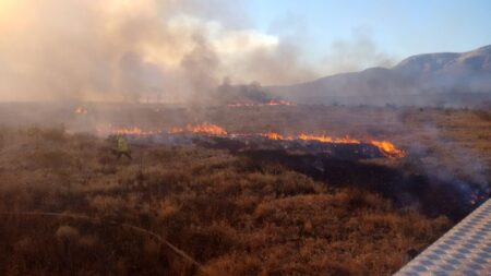 Incêndio de grandes proporções atinge zona rural de Flores