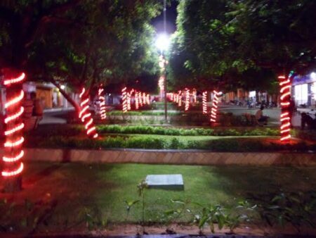 Confira a decoração de Natal nos canteiros em praça de Flores