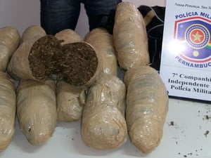 Maconha é encontrada em veículo de transporte de passageiros no Sertão