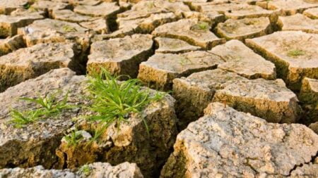 Humanidade esgota recursos da Terra em 2016