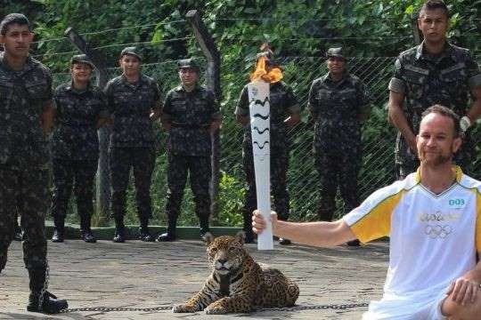 onça morta