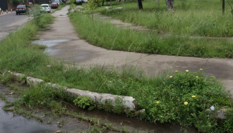 Praça recém inaugurada em Serra Talhada sofre falta de manutenção