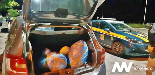 PRF e PM apreendem 54 Kg de maconha, arma e munições em São Caetano