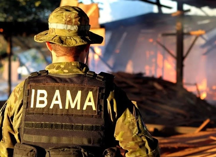 Ibama abre vagas para processo seletivo em Serra Talhada