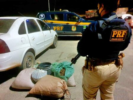 Operação Carcará: PRF detém 35 pessoas e mais de meia tonelada de droga