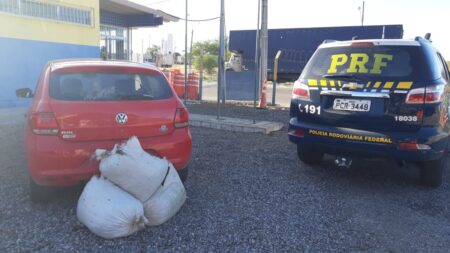 Dupla é presa com 40 Kg de maconha na BR-232, em Serra Talhada