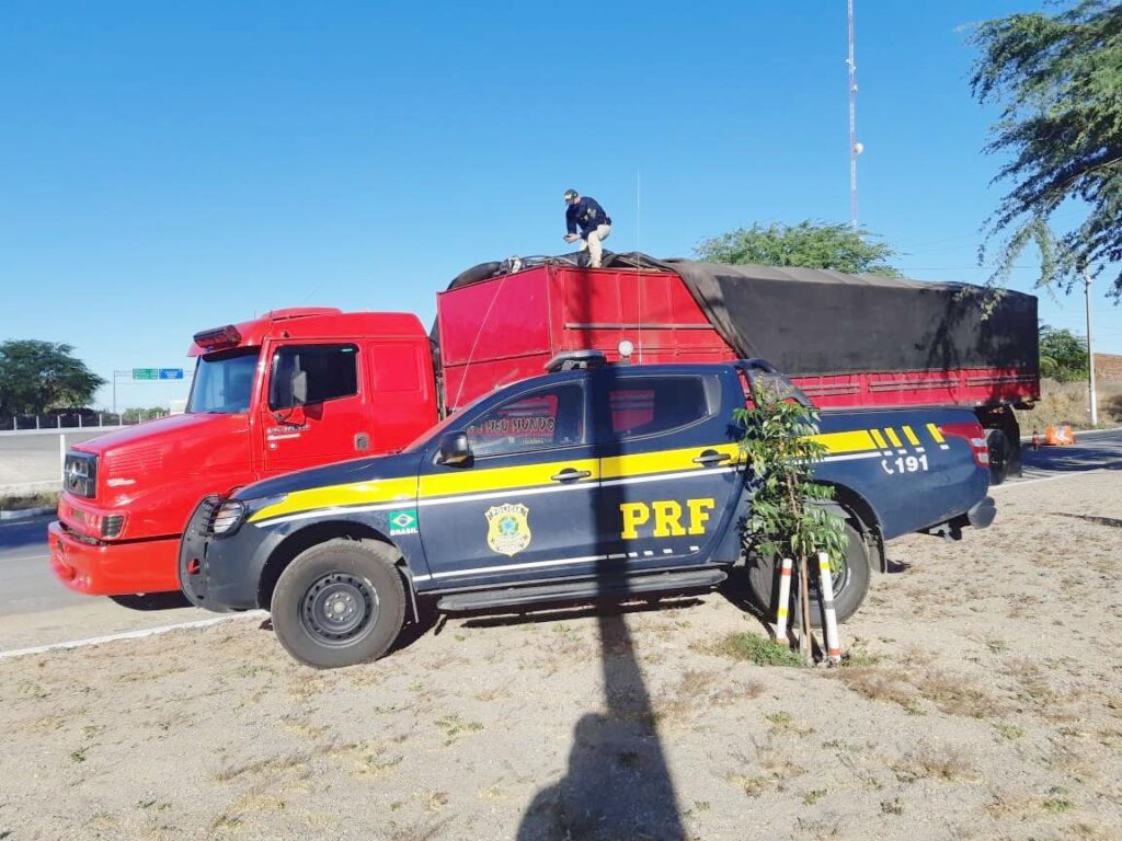 Madeira ilegal do Pará é apreendida na BR 232, em Sertânia