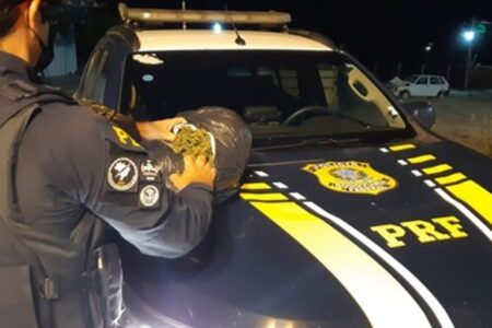 Motorista tenta atropelar policiais da PRF e é detido com drogas em Cabrobó