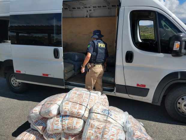 Carga com meio milhão de sacolas é retida em São Caetano