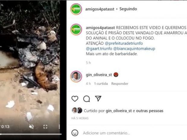Cachorro é amarrado e queimado vivo no Sertão de PE