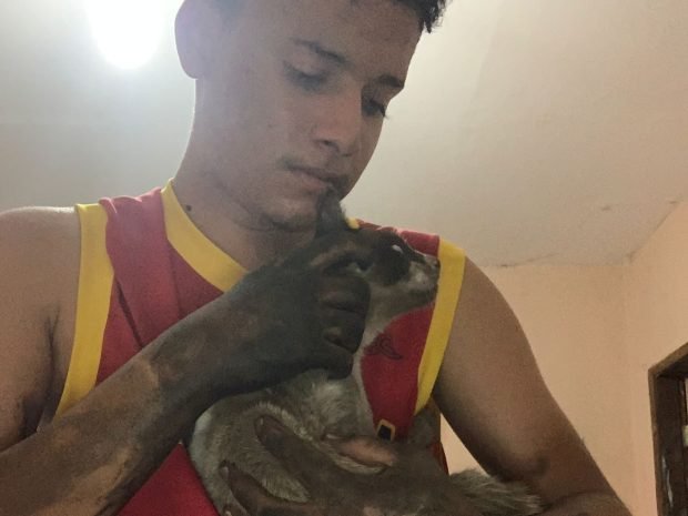 Serra-talhadense salva animal em situação de vida ou morte
