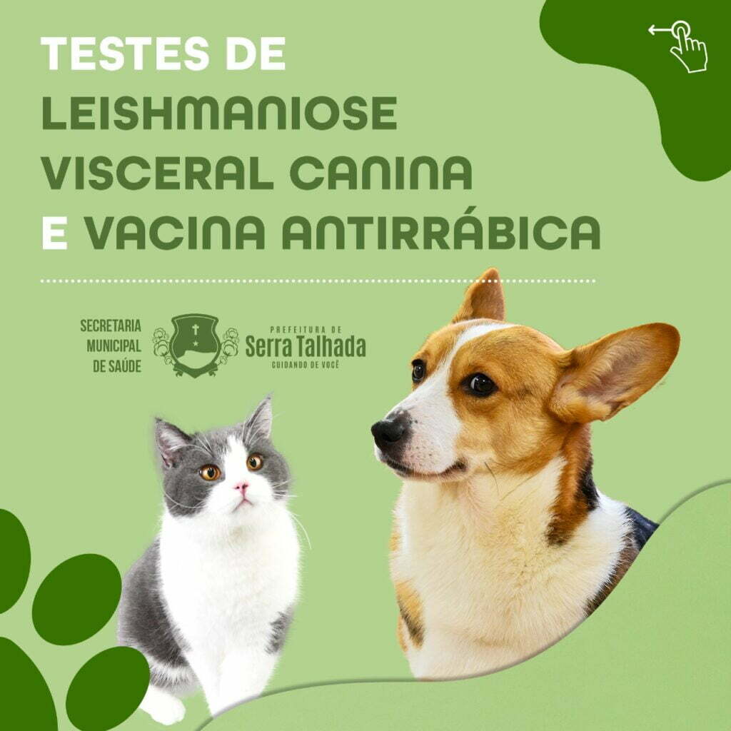Testes de leishmaniose visceral canina e vacinação antirrábica para cães e gatos.