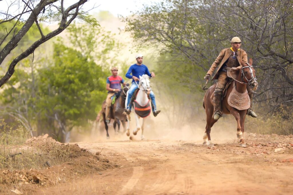 2ª Pega de Boi no Mato em Flores