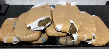 Maconha apreendida durante fiscalização na BR-232