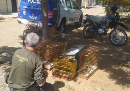 CPRH e 14º BPM realizam ação contra crimes ambientais em ST