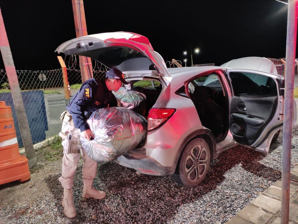 PRF apreende 96,5kg de maconha na BR-232, em Serra Talhada Apreensão de drogas na BR-232