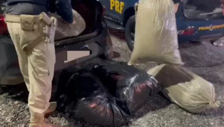 Apreensão de drogas na BR-232