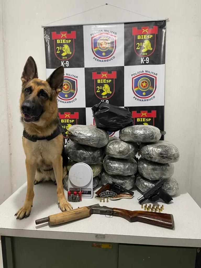 Trio é preso com armas e 13kg de maconha, em Petrolina Armas e droga apreendida em Petrolina