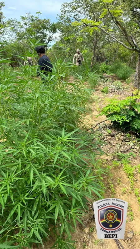 Operação Polígono II no Sertão de PE