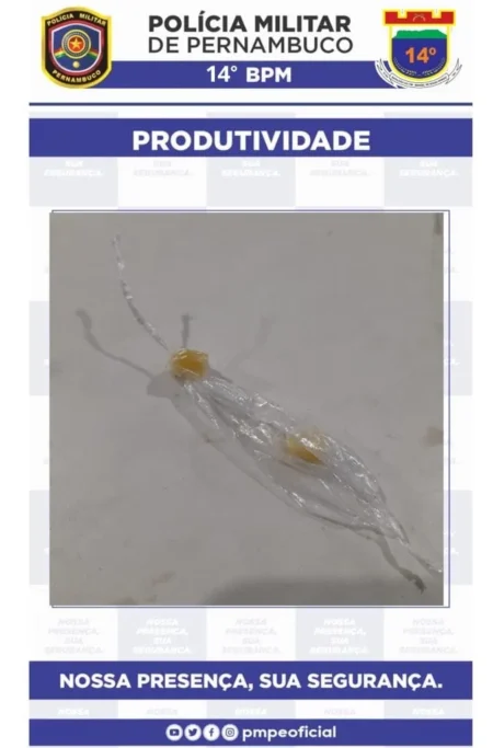 Homem é detido com 02 pedras de crack, em Serra Talhada