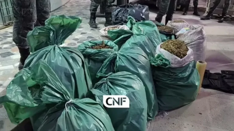 Agreste: Polícia apreende mais de 100kg de maconha na BR-232